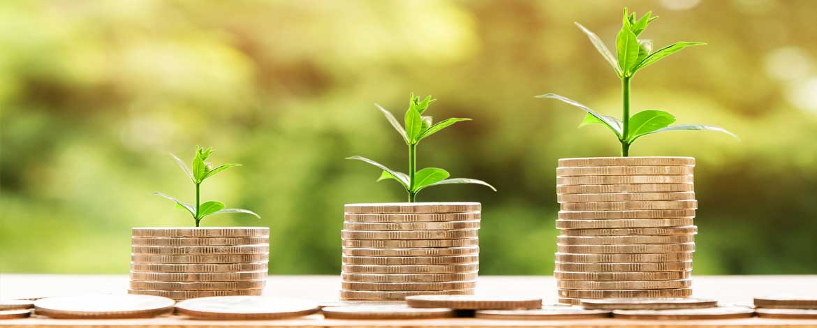 stacks of coins with seedlings coming out of the top of the stacks to represent financial growth